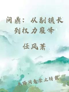 問(wèn)鼎：從副鎮(zhèn)長(zhǎng)到權(quán)力巔峰